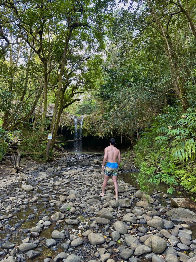 Twin Falls